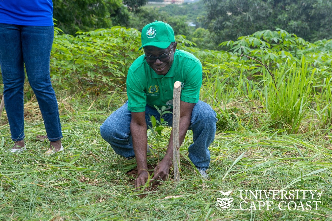 ucc-records-over-90-success-in-its-green-campus-project-department